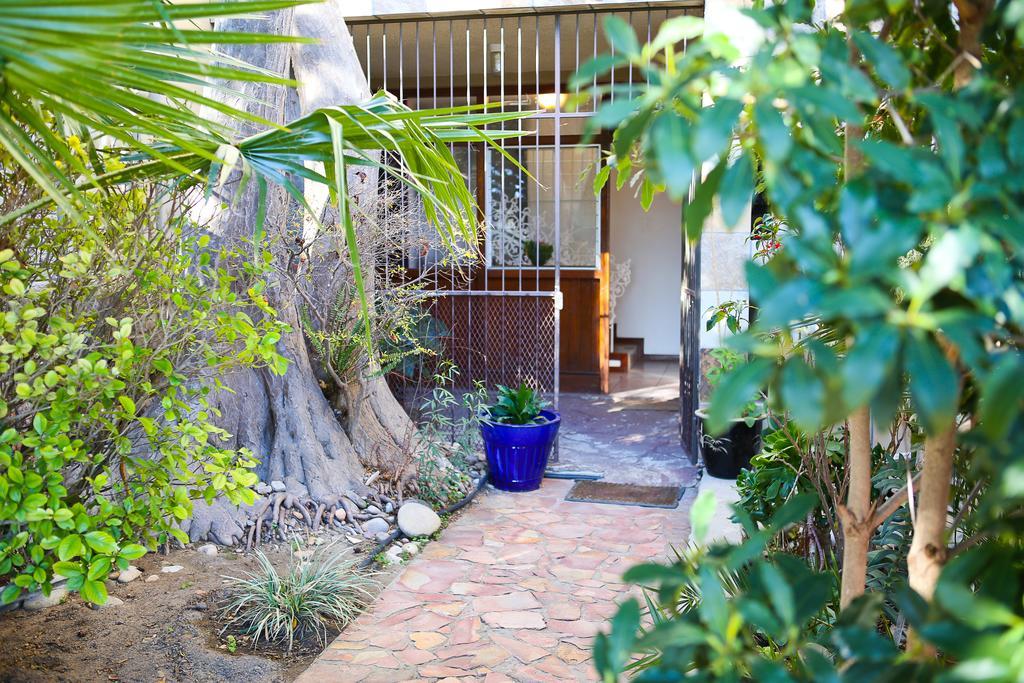 Oudtshoorn Homestay Accommodation מראה חיצוני תמונה